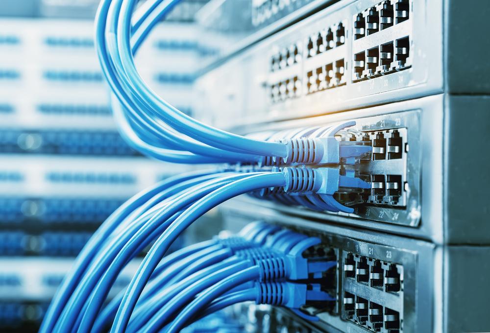 2-network-cables-connected-in-network-switches 2-network-cables-connected-in-network-switches